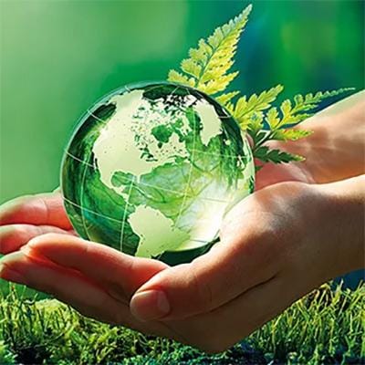 Zielone technologie – jak AI pomaga chronić planetę?