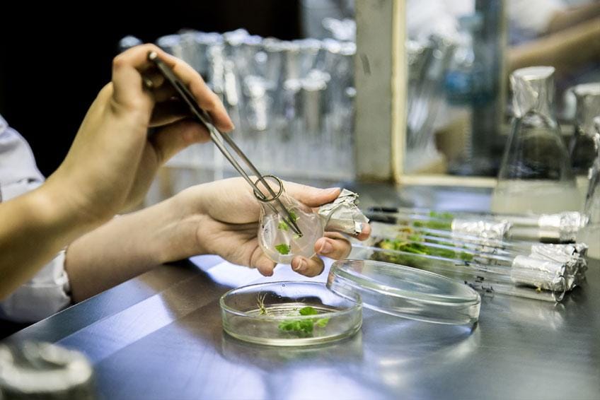 Biotechnologia a personalizacja medycyny