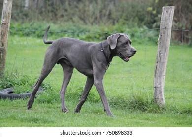 Jak chronić dane przed wyciekiem?